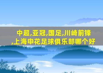 中超,亚冠,国足,川崎前锋,上海申花足球俱乐部哪个好