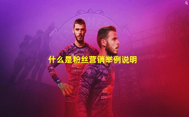 什么是粉丝营销举例说明