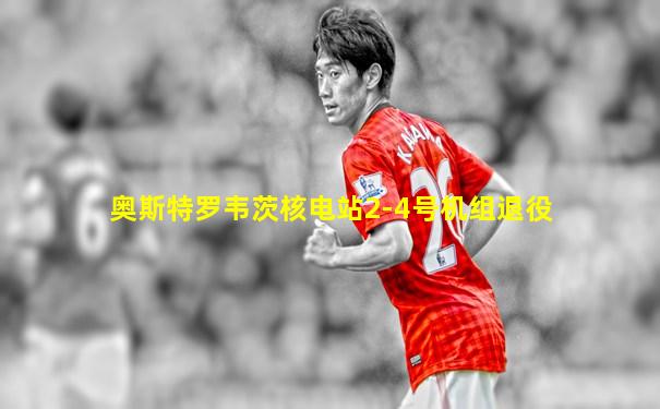 奥斯特罗韦茨核电站2-4号机组退役