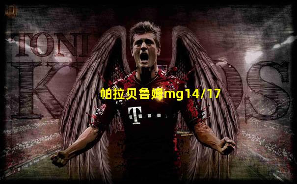 帕拉贝鲁姆mg14/17