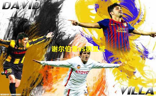谢尔伯恩vs德里城