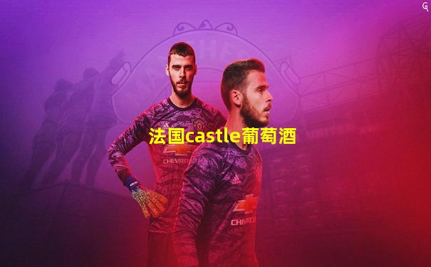 法国castle葡萄酒