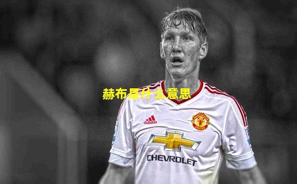 赫布是什么意思